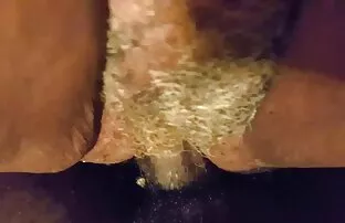 XXX Fockers دو تاس را به درون عکس سکسیالکسیس منحرفان وارد کرد