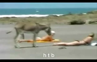 XXX مامان با موهای تیره در حین دانلود فیلم سکس الکسیس تگزاس رابطه جنسی در خانه با معشوق خود cums می کند