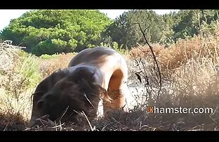 XXX جوجه ناز در الاغ روی تخته لعنتی عکس های الکسیس تگزاس سکسی می شود