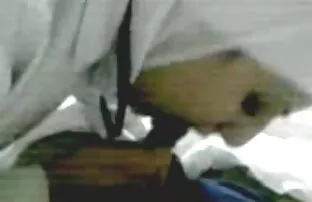 XXX دختران الاغ بزرگ قبل از رابطه جنسی مقعد پسر بزرگ عکس های سکسی از الکسیس تگزاس دیک را لیسیدند