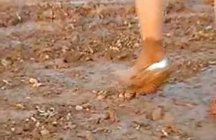 XXX یک خانم قرمز رنگ در لباس حمام ، دیک دانلود عکسهای سکسی الکسیس تگزاس دوست را درون حیاط مکیده و آن را به او هدیه می کند